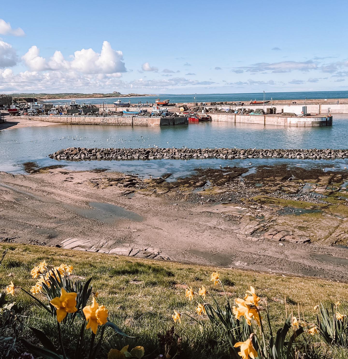 A Mini Guide To Portixol, Mallorca Stephanie Fox Blog